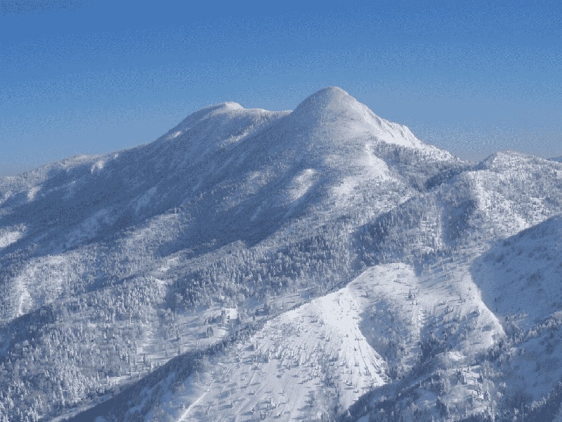 李先生夫妇成功案例